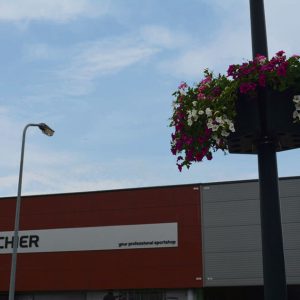 Hof van Hoorn, hanging basket overalâ€¦